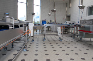 Fish processing: Stainless drives take over at plant