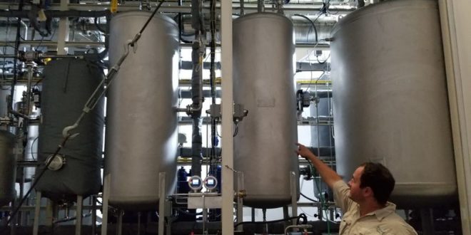 Biofuel gets go-ahead for testing