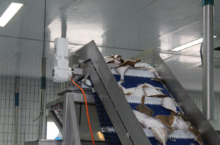 Why stainless steel is the favoured option for geared motors in food and beverage applications