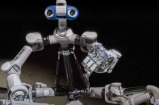 Insect inspires design engineers when creating next generation of robots