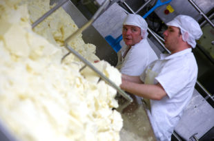Automation and dairy products: no longer like chalk and cheese