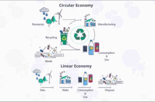 Sustainability quantified