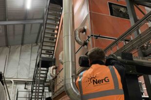 Ending biomass funding programme ‘sets back net zero’