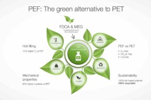 How to succeed in manufacturing bio-based platform chemicals