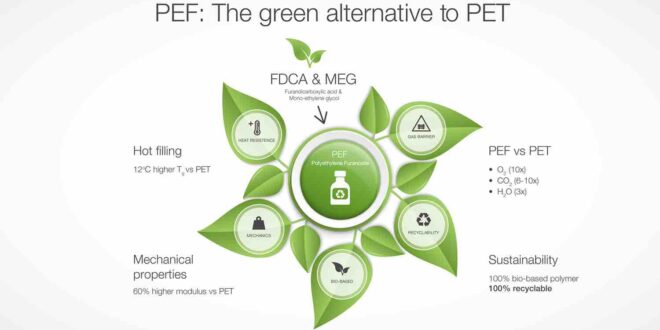 How to succeed in manufacturing bio-based platform chemicals