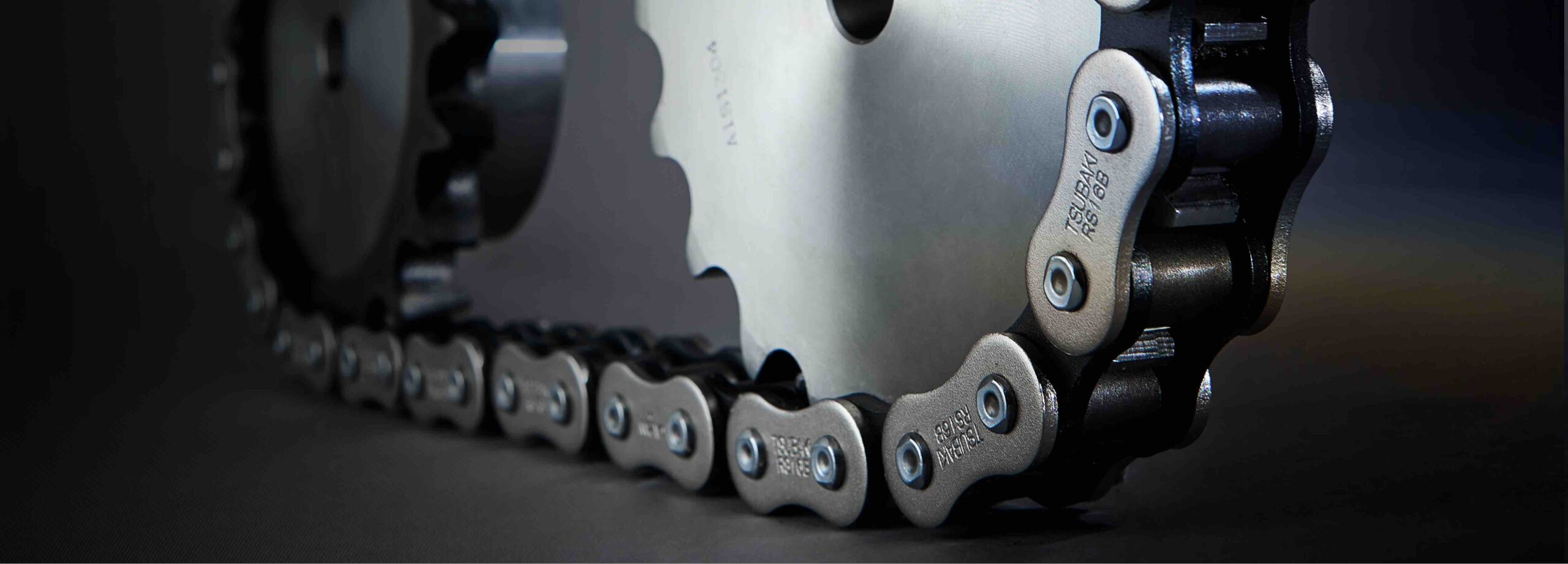 Chains: reducing long-term cost for harsh environments - Engineer News ...