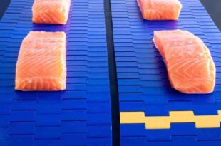 Identifying the best conveyor belt for food safety