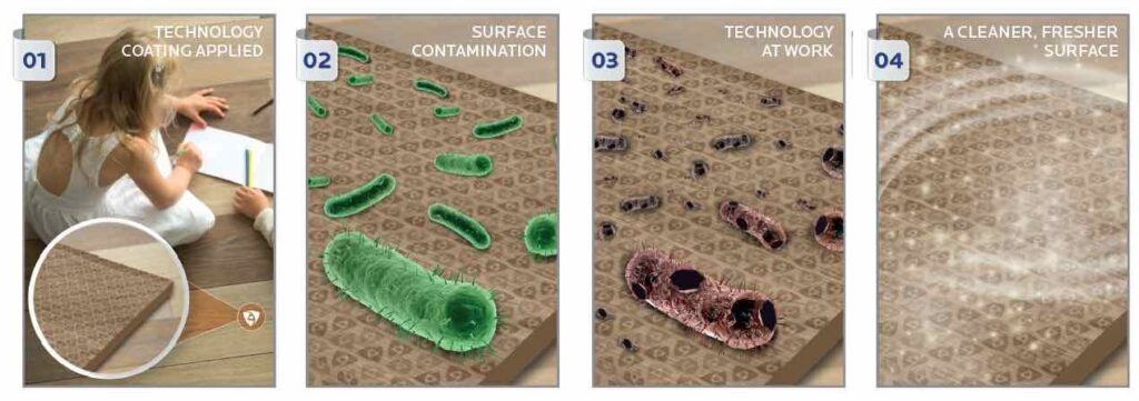 Non-heavy-metal antimicrobial technology for water-based coatings