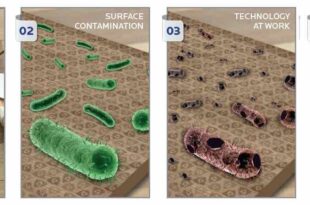 Non-heavy-metal antimicrobial technology for water-based coatings