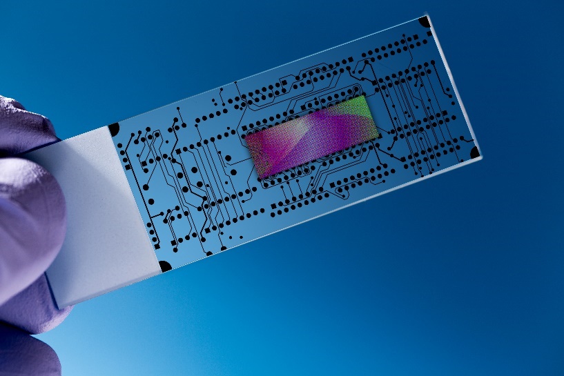 Ptest Device Selecting the right motor for bench-top point-of-care testing devices ...